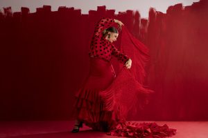 Baile flamenco por Alegrías