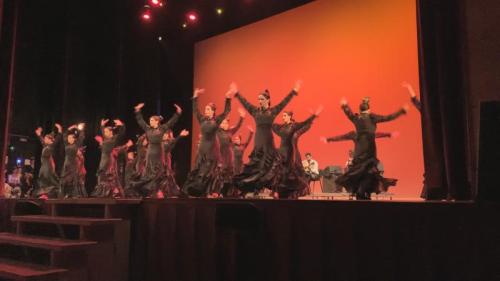Escuela de baile flamenco José de la Vega | Fin del curso 2023 | K